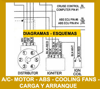 Diagramas, Esquemas